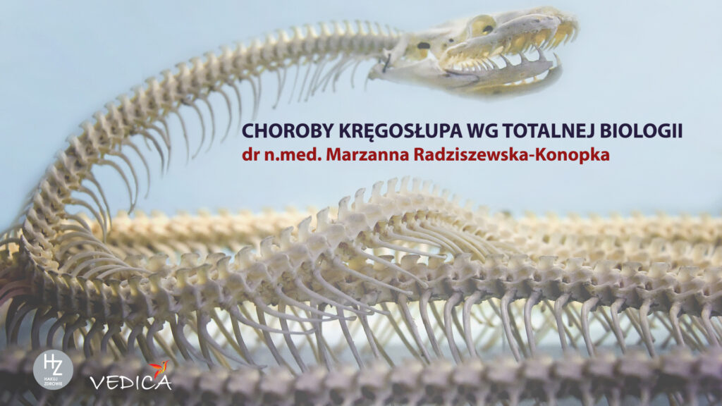 choroby kregoslupa studium