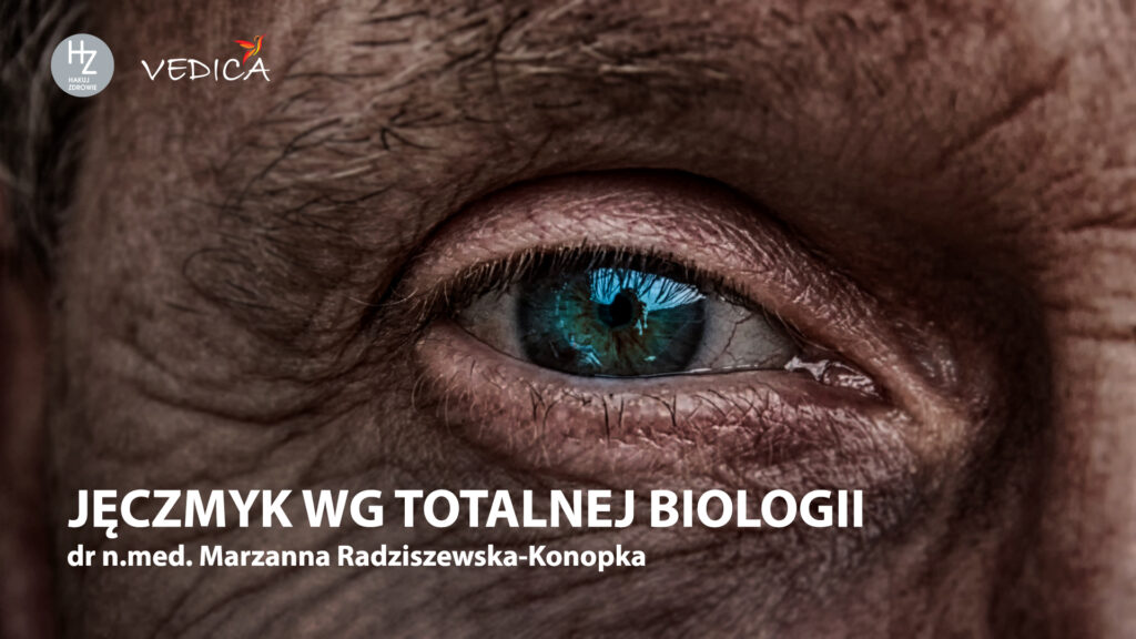 jeczmyk studium poprawione